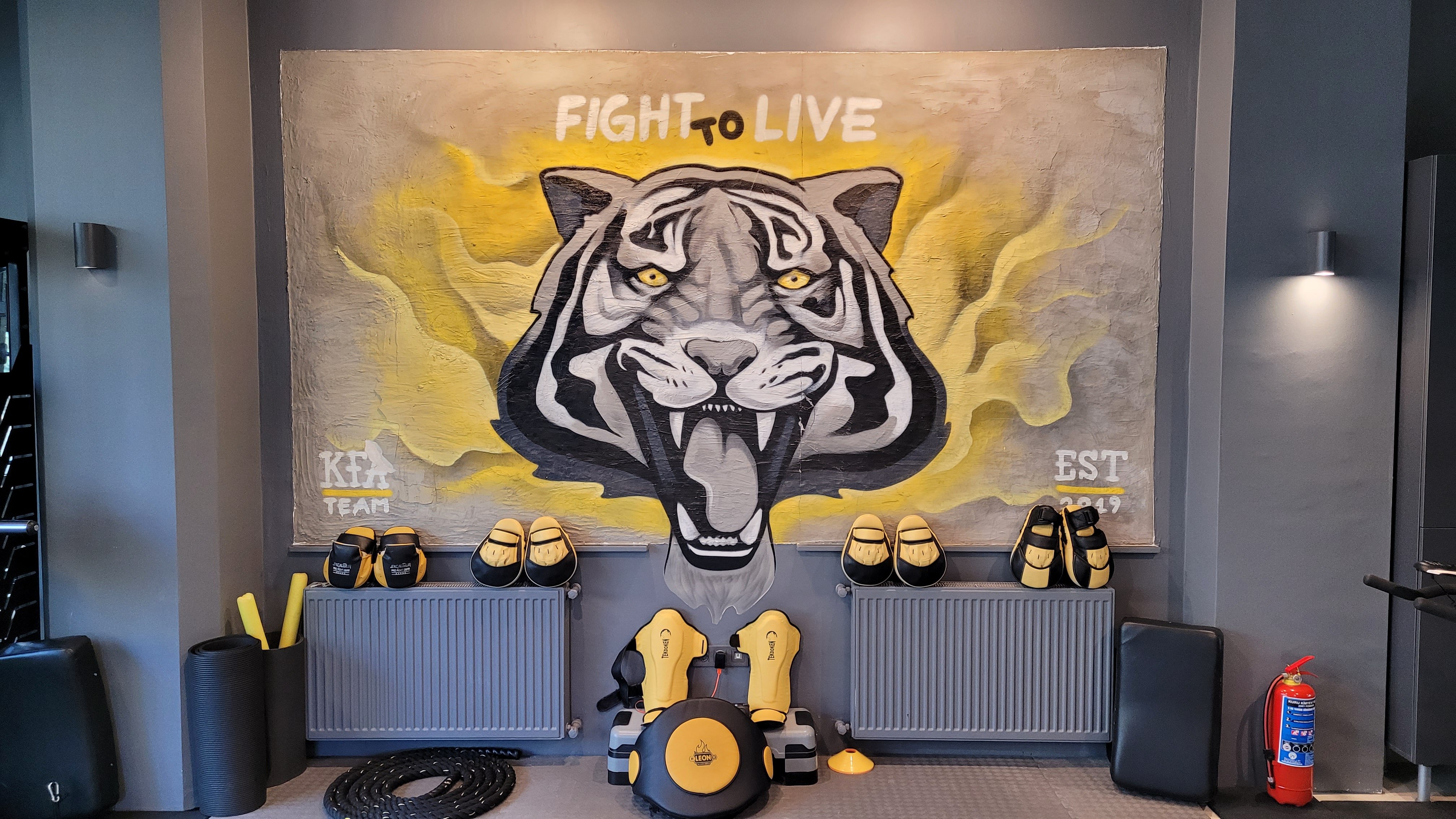 kaplan fgiht academy ataşehir muay thai